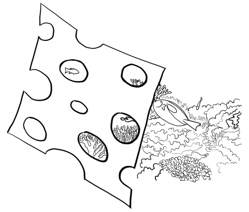 Swiss Cheese Reef A model is a bit like looking at the reef through Swiss cheese.